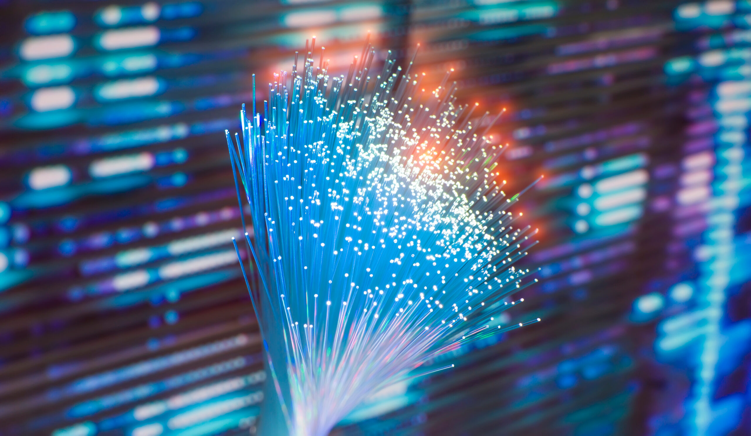 A close-up of fiber optics cable in front of a digital backdrop.